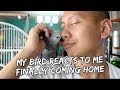 My Bird's Reaction to My Return Home | Vlog #327