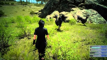 Final Fantasy XV Demo - Black Chocobo