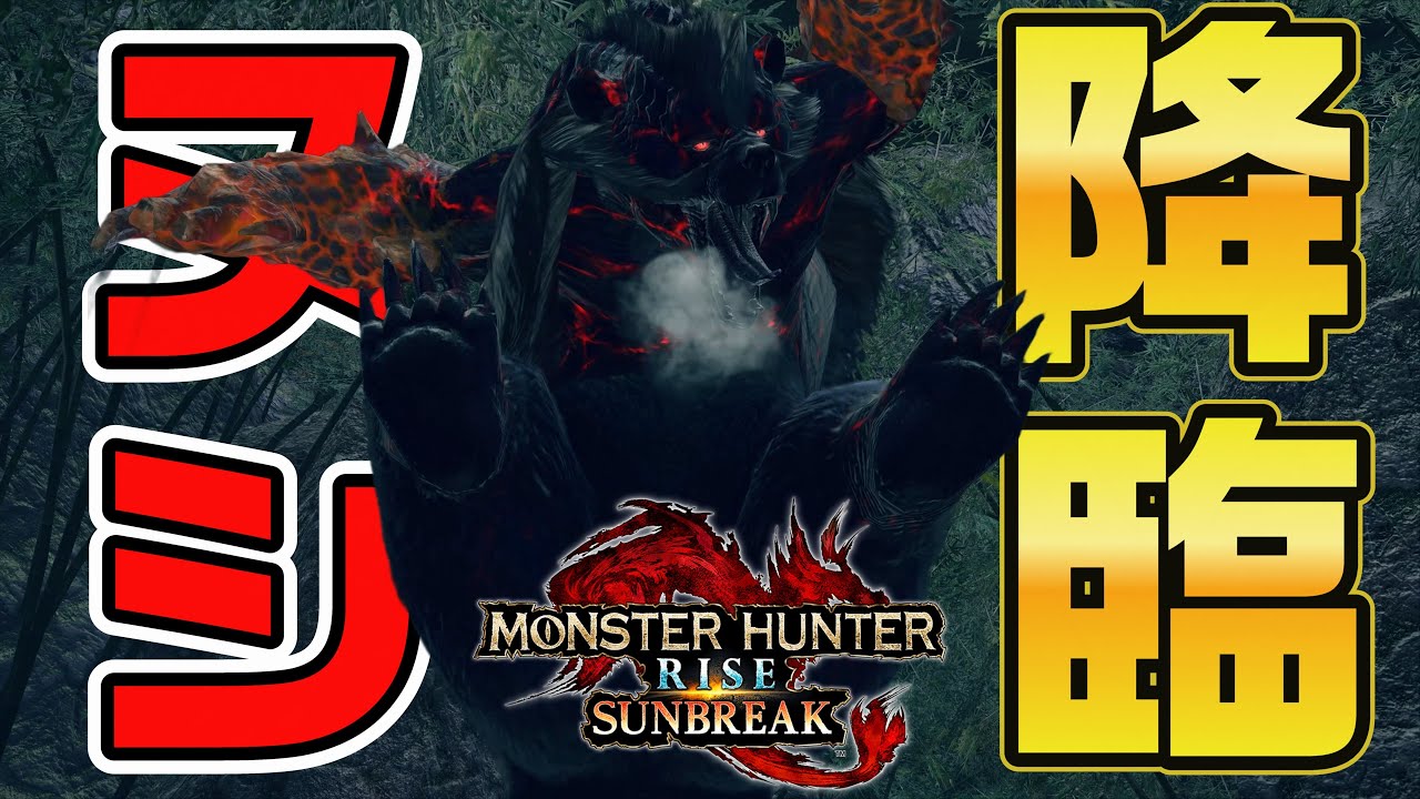 【観察動画】恐怖ヌシ・アオアシラ降臨