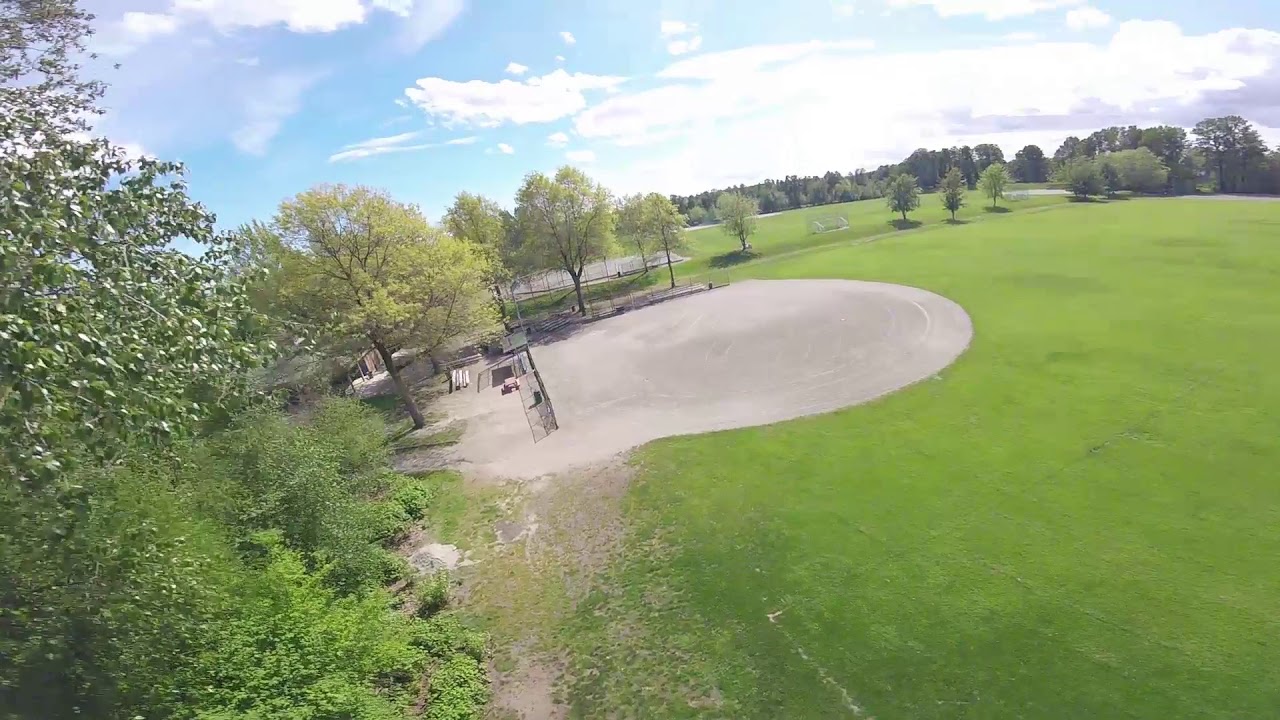 Tree Top Surfing YouTube