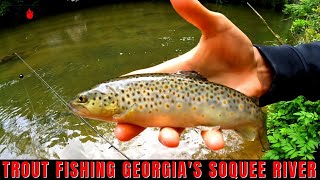 Trout Fishing Georgia's Soquee River