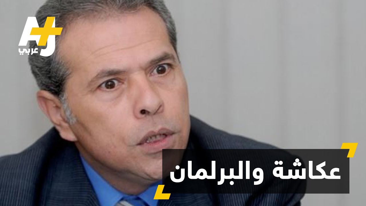 توفيق عكاشة يسعى لرئاسة البرلمان في مصر