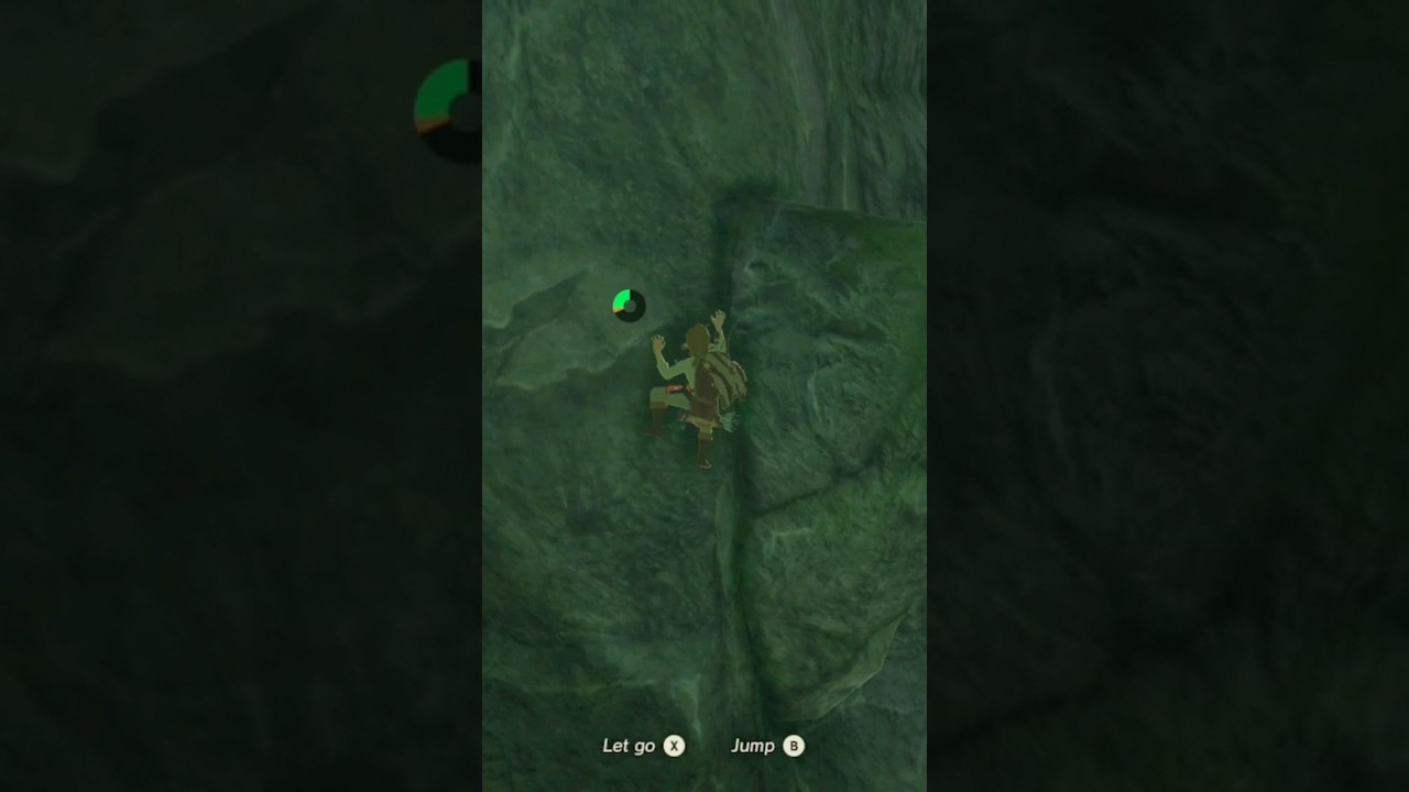BoTW Climbing Is Weird legendofzelda breathofthewild 