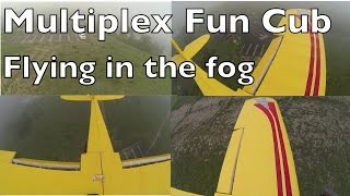 Fun Cub Foggy Morning Multiple GoPro Angles