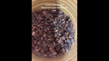 Sparkling And Flawless Malawi Botswana Agates