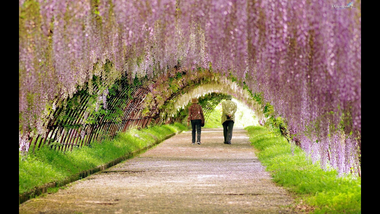 Prevod Abrahama (Ester Hicks) - Motivacija za dobro jutro