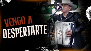 Vengo A Despertarte - Los Auténticos Jrs. - En Vivo