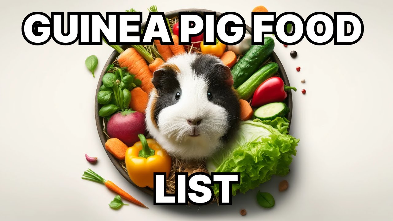 What vegetables can guinea pigs eat?