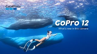 รีวิวกล้องโกโปร 12 ใต้น้ำและบนบก #GoProHERO12 Black Review