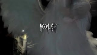 kali uchis - moonlight [speed up + lyrics]