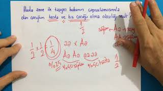 8.Sinif Fen Yeni̇ Nesi̇l Sorular 4 Dna Ve Geneti̇k Kod