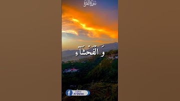 Al-Baqarah Ayat169 Tilawat Quran 02سورةالبقرة #surahalbaqarah #حالات_واتس #اكسبلور#quranreading#duet