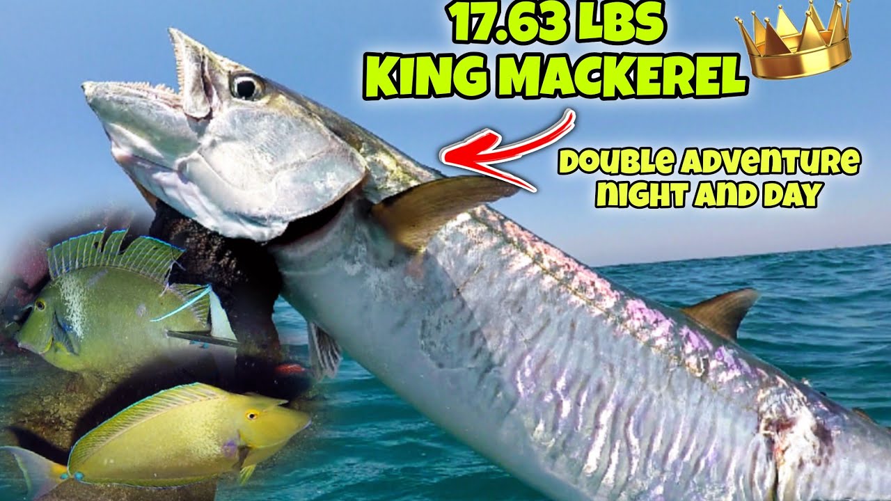 eps.243 17.63 LBS KING MACKEREL😱 | DOUBLE ADVENTURE NIGHT AND DAY🤙 #fishing #fish #gopro #kapanatv