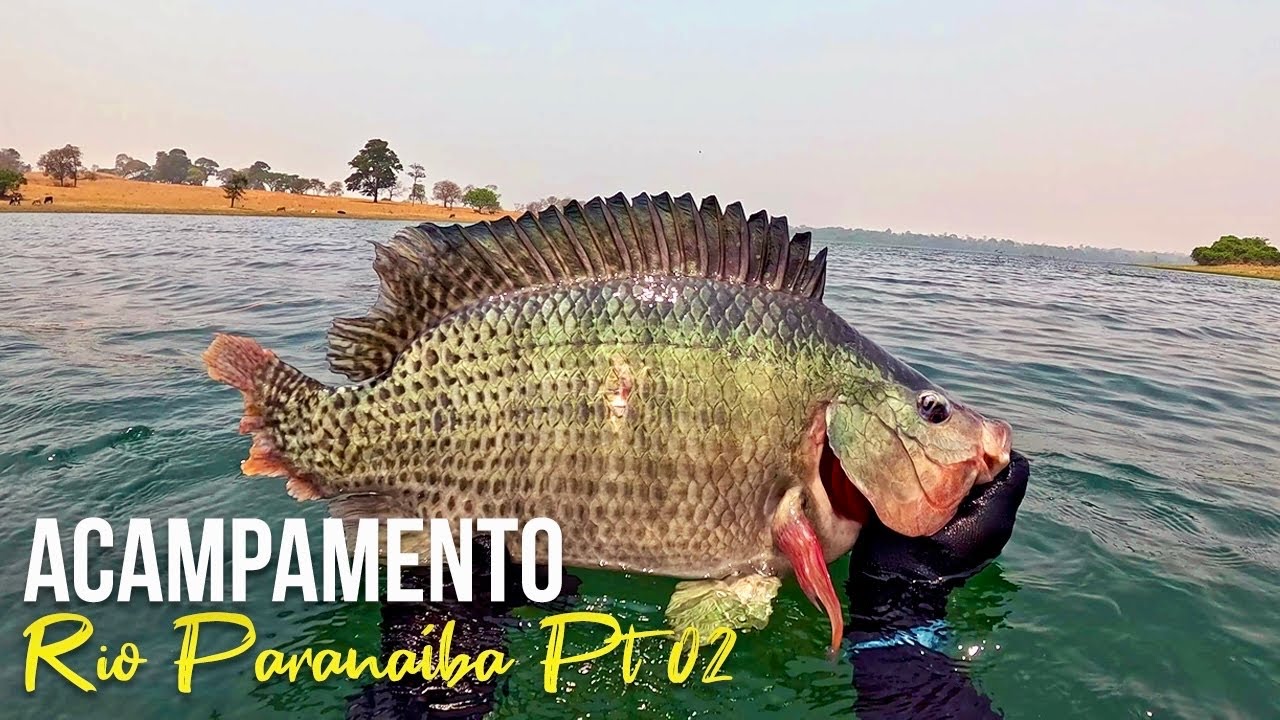 EXPEDIÇÃO RIO PARANAÍBA - PARTE 02 - Pesca Sub - SubTv Spearfishing