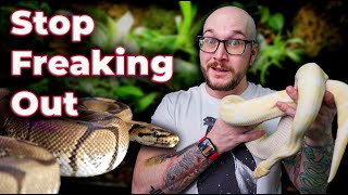 The BIGGEST Controversy in Reptiles Is a Non Issue! I'm FINALLY Speaking Out on Spider Ball Pythons! Wealth