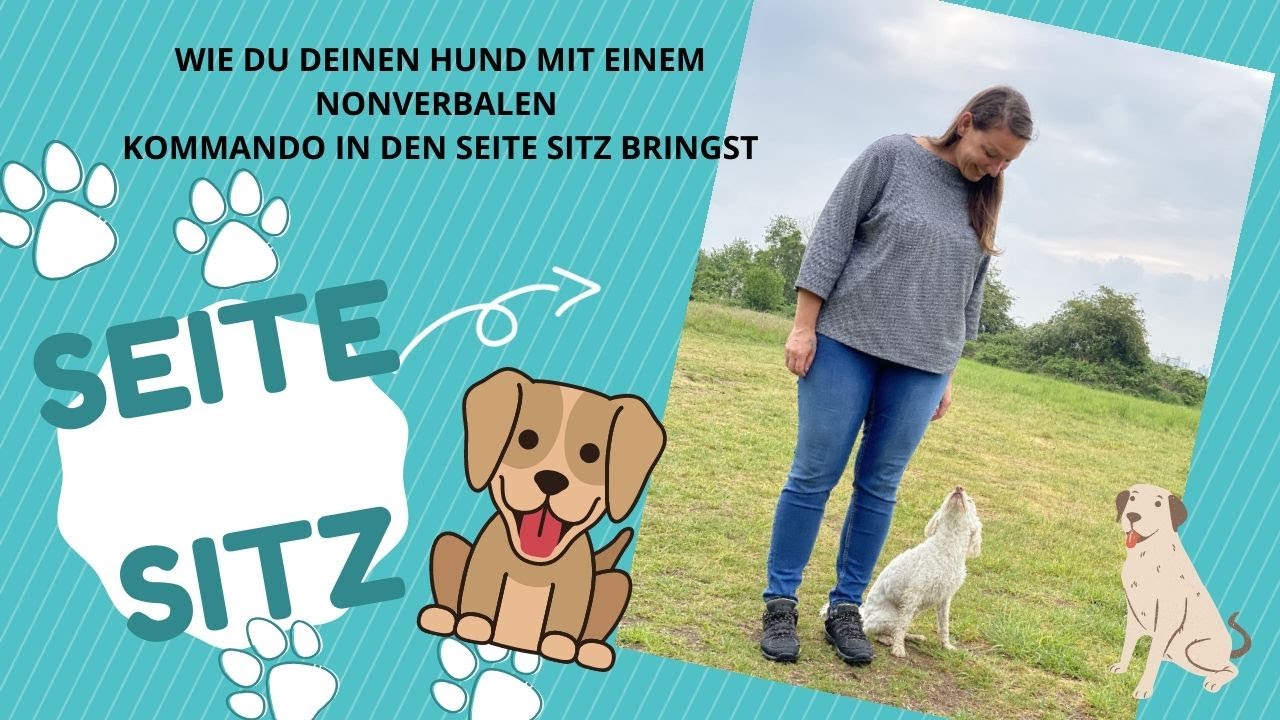 Unterordnung: Seite - Sitz beibringen. Sprachfrei mit dem Hund kommunizieren!