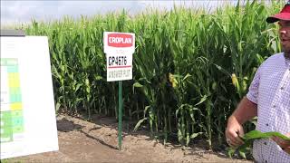 CROPLAN 4676