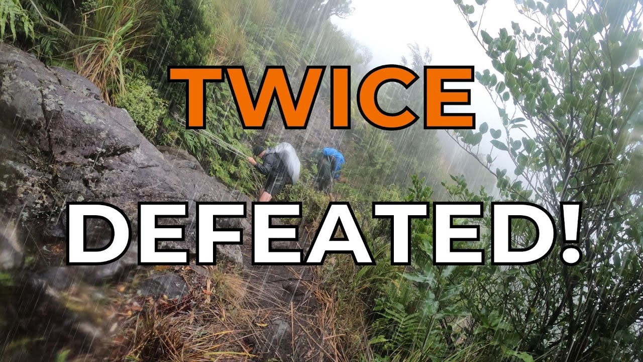 Kaimai Ranges Hiking in HEAVY RAIN Kauritatahi Motutapere Huts