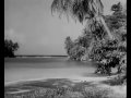 Bbc television  interlude film  palm beach jamaica