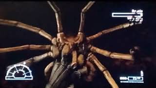 Aliens vs Predator gameplay