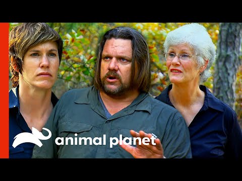 Ranae & Matt Have Trouble Believing This Bigfoot Witness