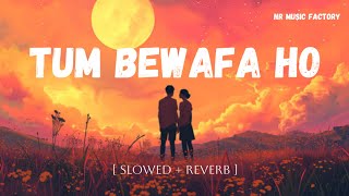 Tum Bewafa Ho - (Slowed+Reverb) | Payal Dev | Stevin Ben | NR Music Factory