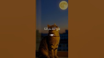قرآن كريم راحة نفسية متابعة للصفحة فضلاً 🥰🤍 #قرآن #قران_كريم