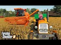 🔥 Ostatnie Żniwa Rolników we Wsi 🦹‍♀️👨🏼‍🌾 Rolnicy z Miasta 😍 Farming Simulator 19 🚜
