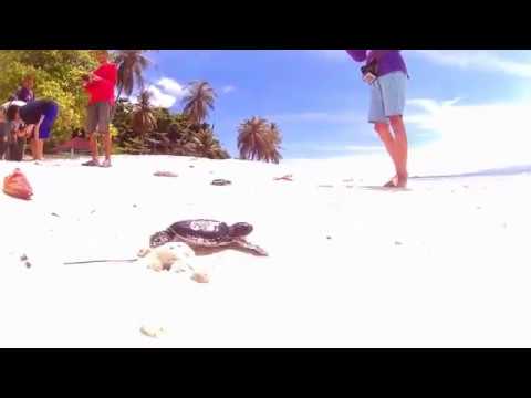 Indonesia – Turtle sanctuary on Aur Gadang Island on Sumatra