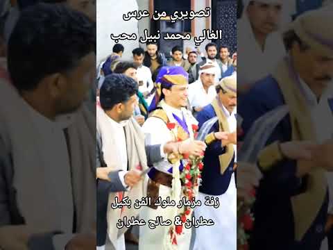 عرس محمد نبيل محب