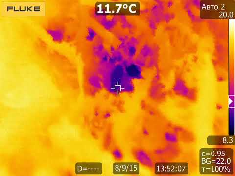 Video: Vpliv Temperature Na Sistem Hematobija Bulinus Globosus - Schistosoma