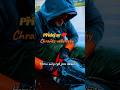 Chraňte velké ryby #fishing #rybaření #ryby #fish #carp #sumec #kapr #candát #štika #amur #příroda