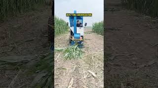 60HP Silage Harvester | 3 Acres/Hour High Efficiency For Farms