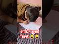 आदि ने बनाई बिल्ली😂😂 #youtube #viralshort #advikmasti #longvideo #shortviral #shortfeed #fun
