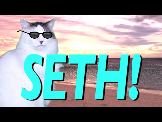 HAPPY BIRTHDAY SETH! - EPIC CAT Happy Birthday Song