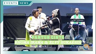 Rhoma Irama & Elvy Sukaesih - Pantun Cinta