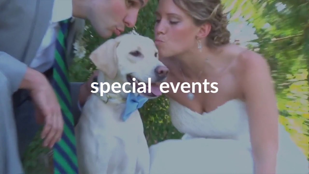 McAllen Realtor Aims to Please Every Family Member