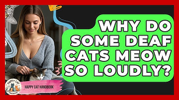 Why Do Some Deaf Cats Meow So Loudly? - Happy Cat Handbook