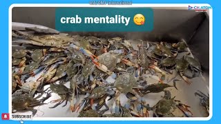 Mentalitas Kepiting | SRM Mike Surjadi 🇨🇦