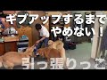 【挑戦!】大型犬3頭が疲れ果てるまで遊んでみる耐久33分