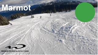 Skiing Marmot at Whistler Blackcomb (Mar 9th, 2026)