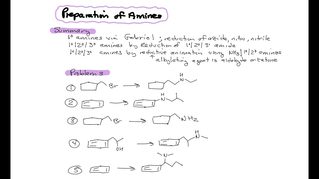 Preparation of Amines - YouTube