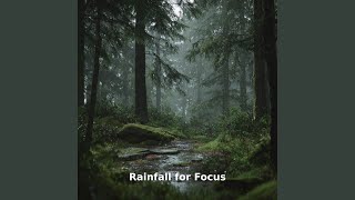 Rainfall Focus Motion, Pt.2
