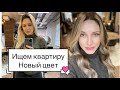 ДОЧКА ХОЧЕТ ПЕРЕЕХАТЬ | ЭПОПЕЯ С КВАРТИРАМИ | НОВЫЙ ЦВЕТ ВОЛОС