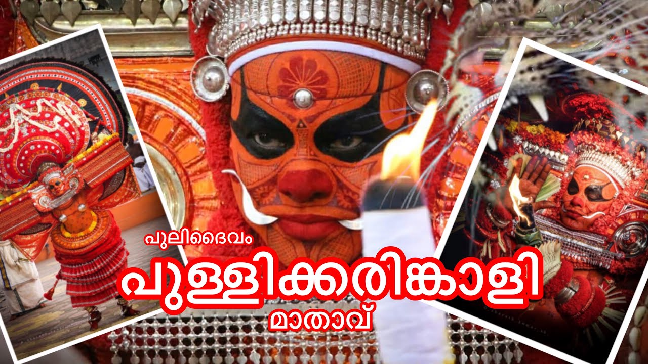 പുള്ളിക്കരിങ്കാളി | pady shree pullikaringali bagavathi kshethram |Kasaragod |pradeep manakadan|2022