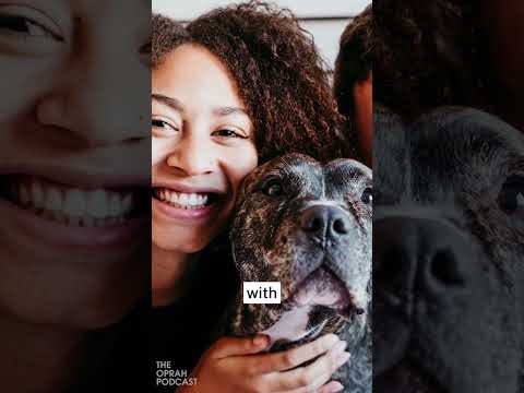 How pets reach out to us
