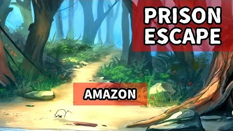 Prison Escape Puzzle Chapter 11 Amazon Walkthrough [Big Giant Games]