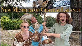EP33 Cadeaux & tea with Stephanie & Philip  @TheChateauDiaries +  New members of Chateau Lalande