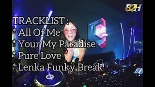 DJ BREAKBEAT MIXTAPE 2024 || All Of Me X Your My Paradise || B2H BeatMix ||