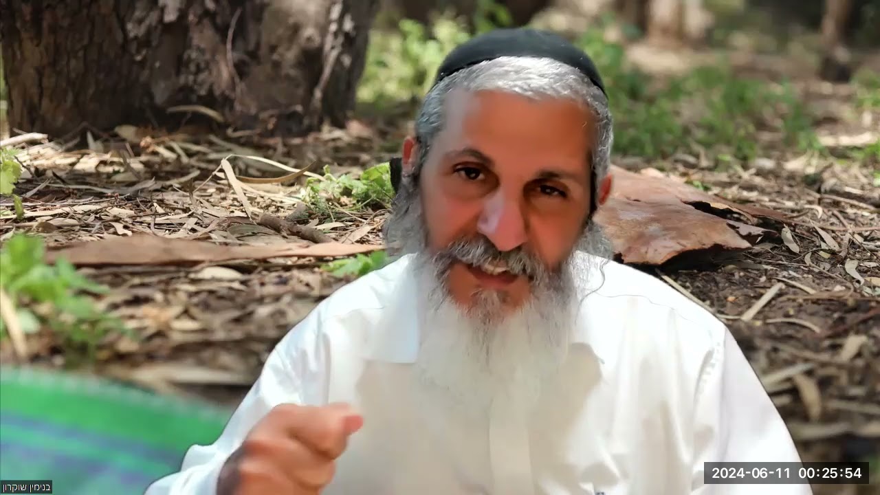 תשעה וארבעים יום לעומר שהם שבעה שבועות | מלכות דמלכות | הר' בנימין שוקרון